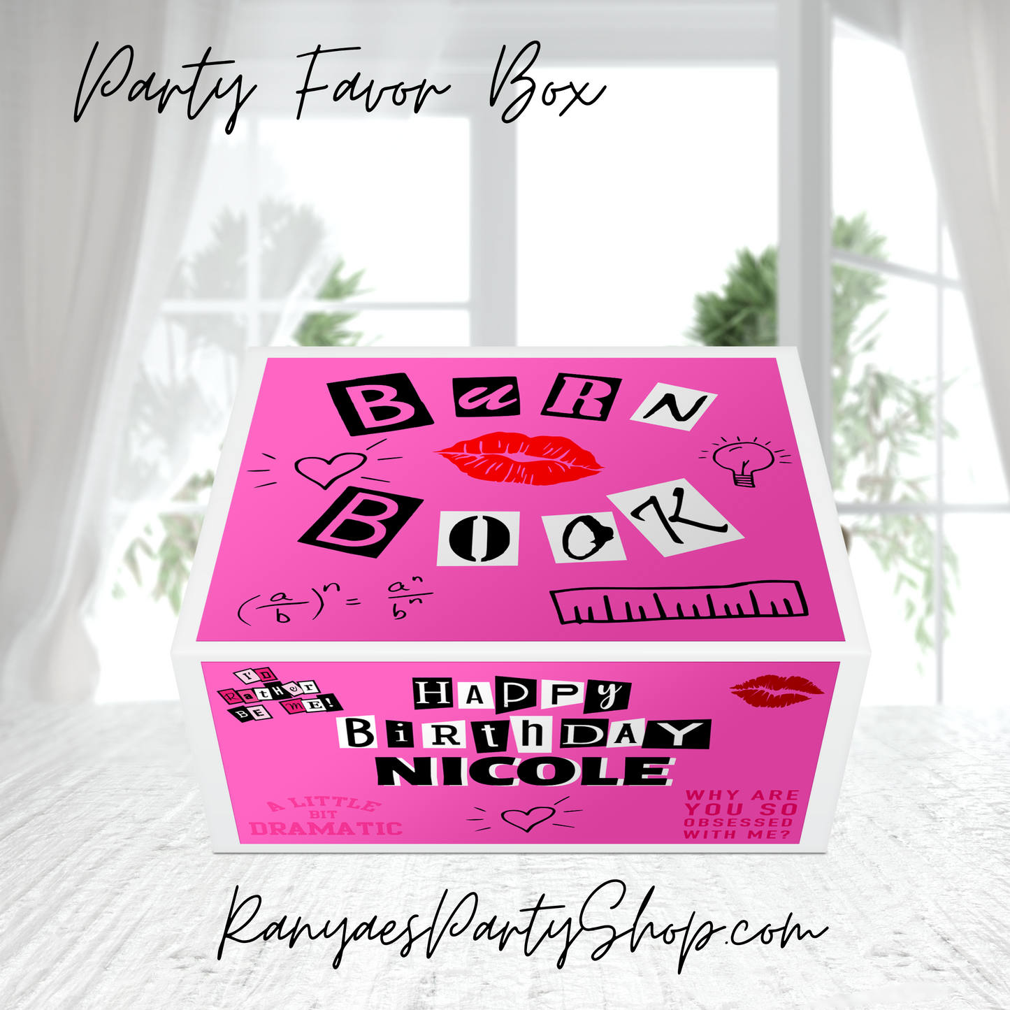Mean Girls Party Box | Mean Girls Party | Shipped | Kids Party Box  |