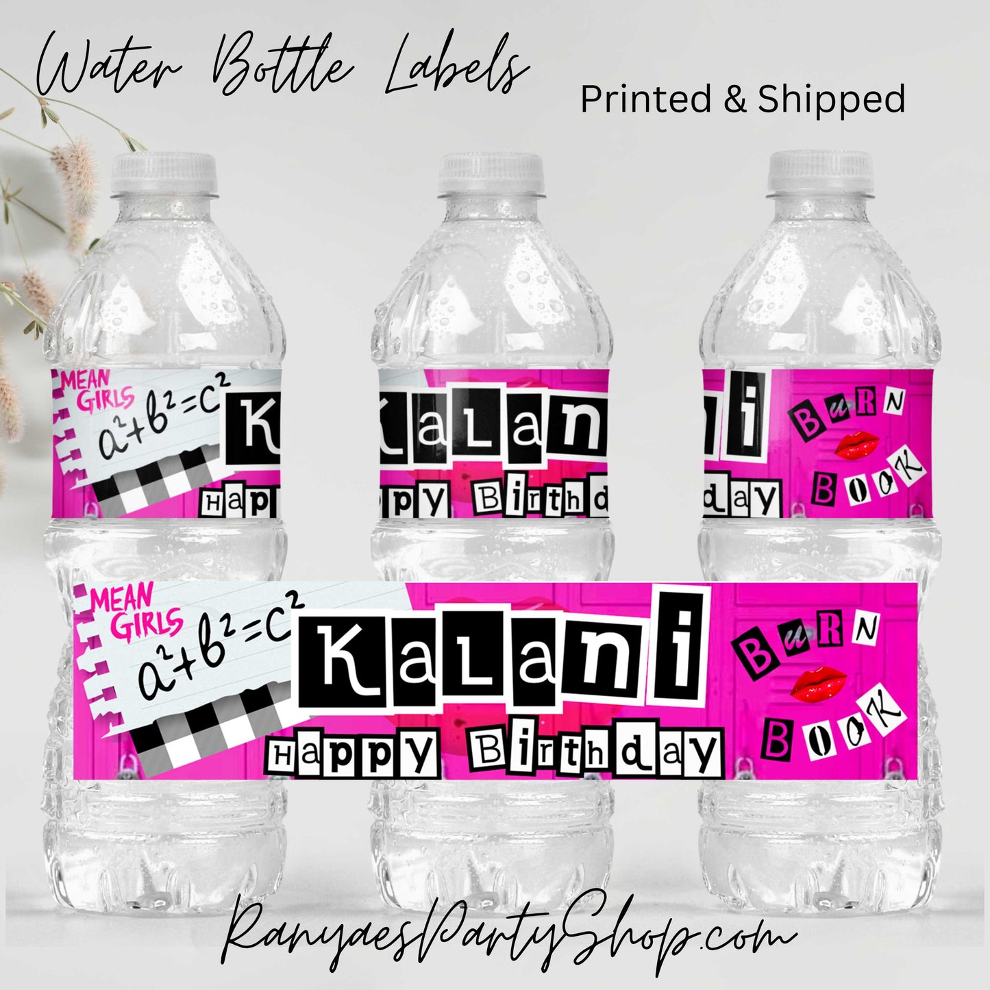 Mean Girls Water Bottle Labels | Custom Water Bottle Labels | Mean Girls Party | Mean Girls Water Bottle Favors